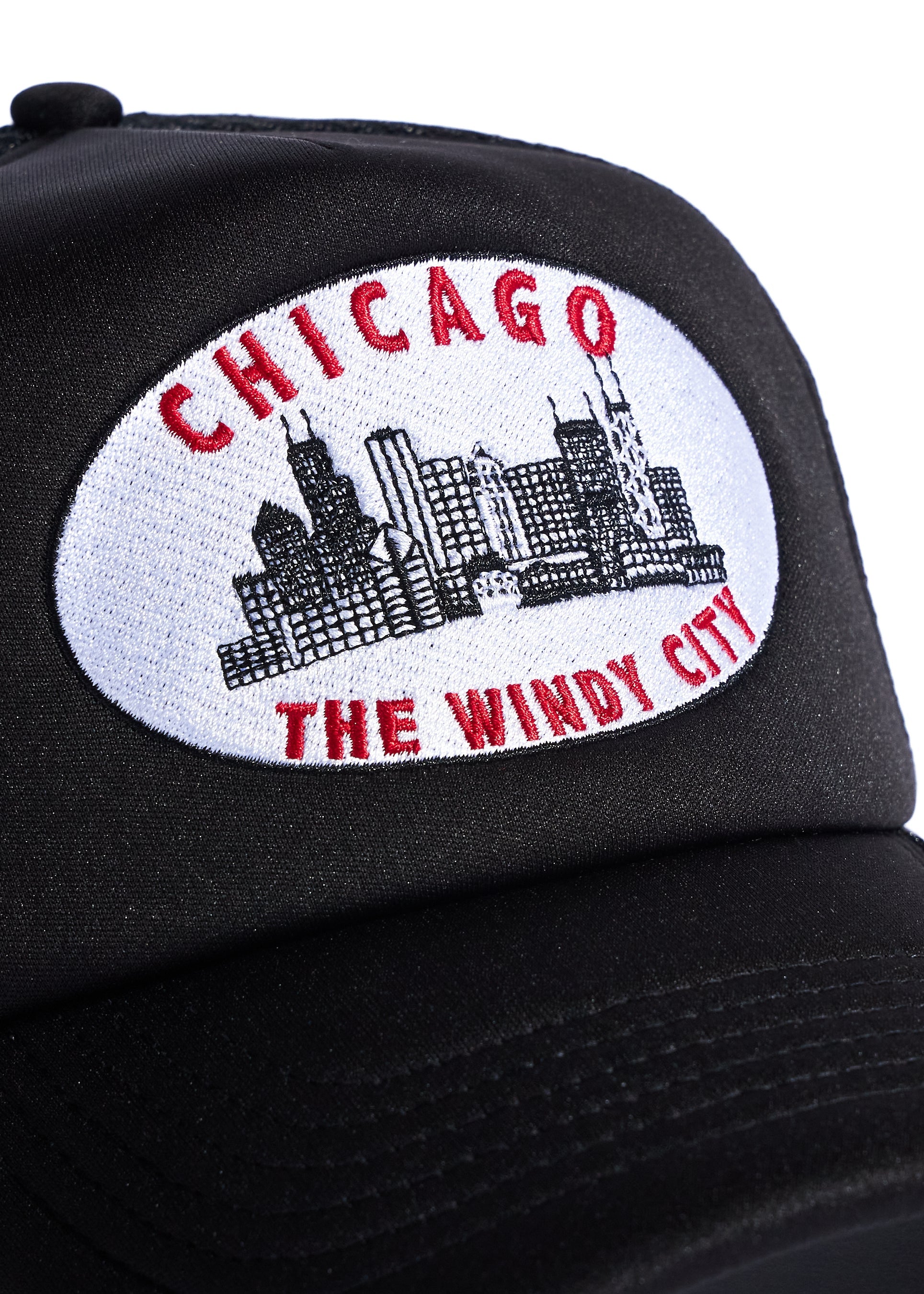 Skyline Chicago Trucker