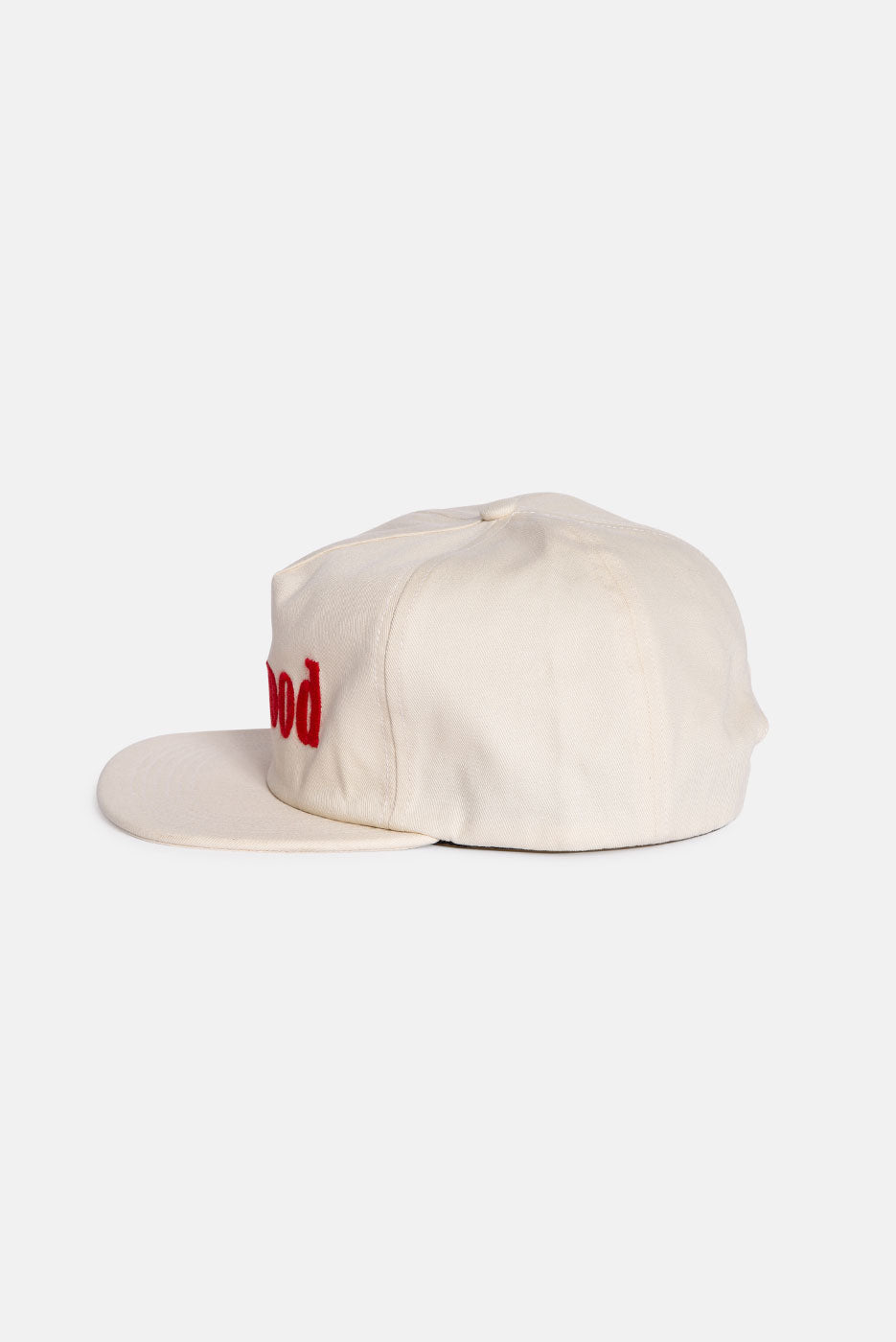 LOGO 5 PANEL CAP